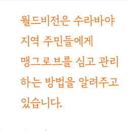 월드비전은 수라바야 지역 주민들에게 맹그로브를 심고 관리하는 방법을 알려주고 있습니다.