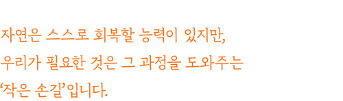 자연은 스스로 회복할 능력이 있지만, 우리가 필요한 것은 그 과정을 도와주는 '작은 손길'입니다.