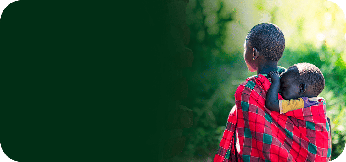 티비스의 뒷모습