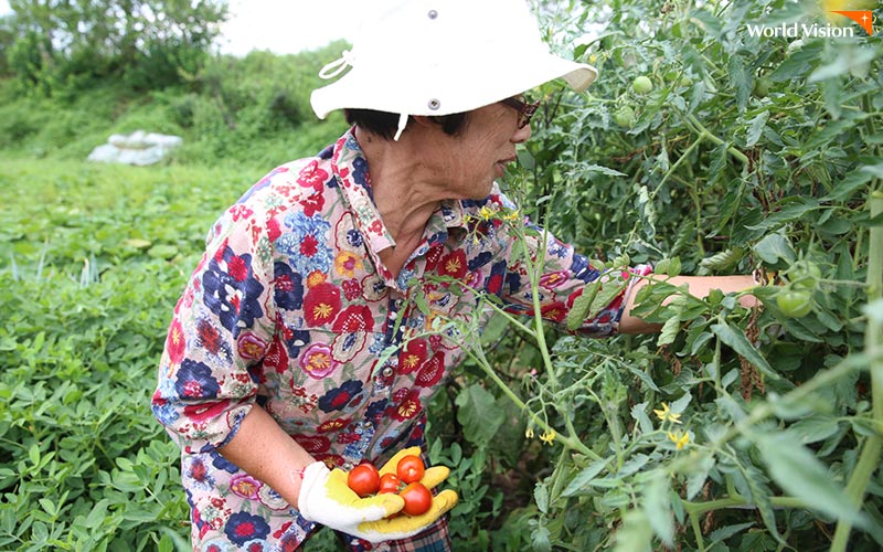 밭일하시는 박하자 할머니