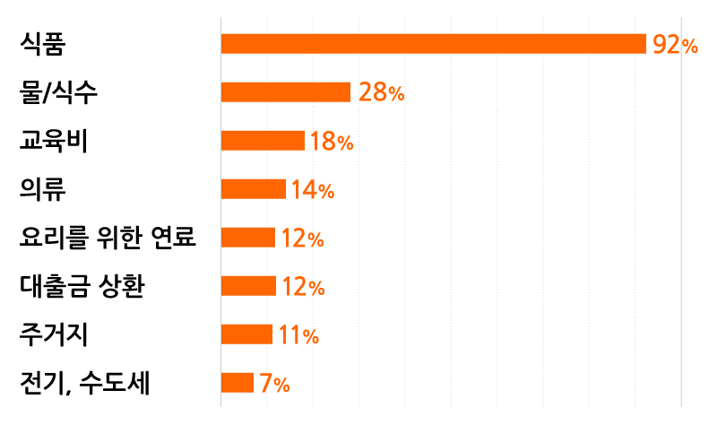 식품:92% / 물,식수:28% / 교육비:18% / 의류:14% / 요리를 위한 연료:12% / 대출금 상환:12% / 주거지:11% / 전기,수도세:7%